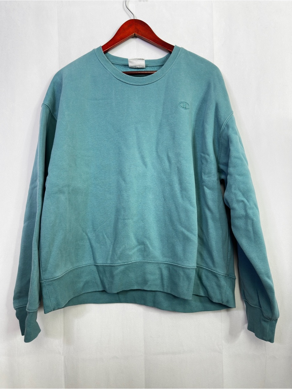 Champion Sweater Seafoam Athletic Casual Unisex Long Sleeve Casual Top Teal